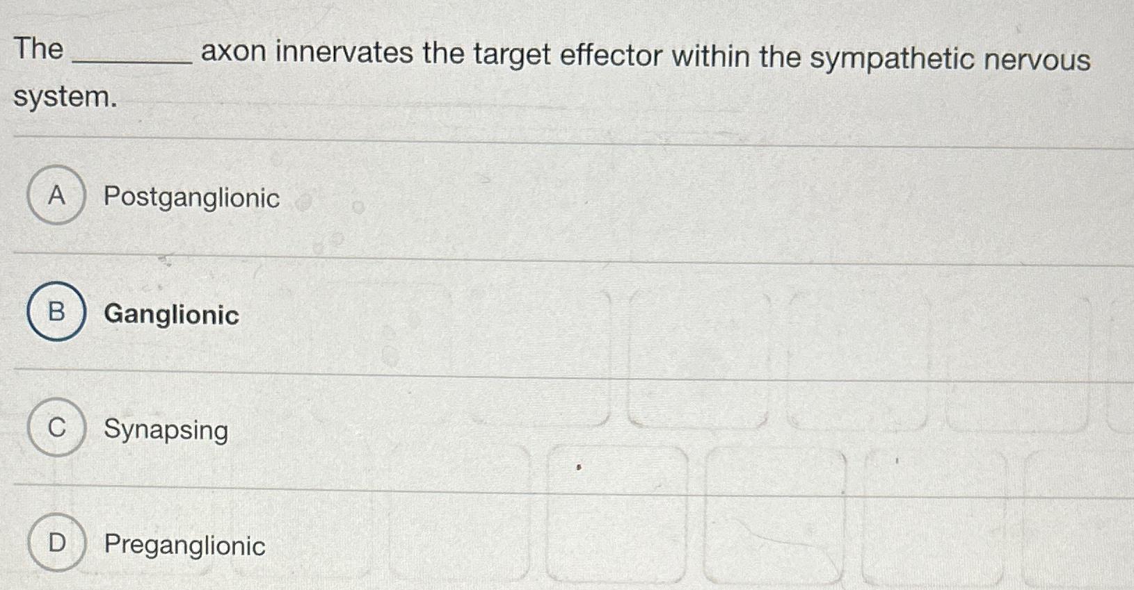 Solved The axon innervates the target effector within the | Chegg.com