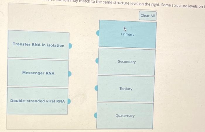 Solved Transfer RNA in isolation Messenger RNA | Chegg.com