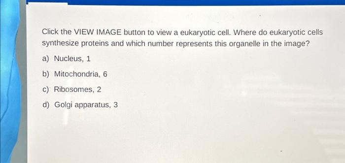 Click the VIEW IMAGE button to view a eukaryotic | Chegg.com