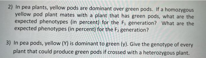 2) In pea plants, yellow pods are dominant over green pods. If a homozygous yellow pod plant mates with a plant that has gree