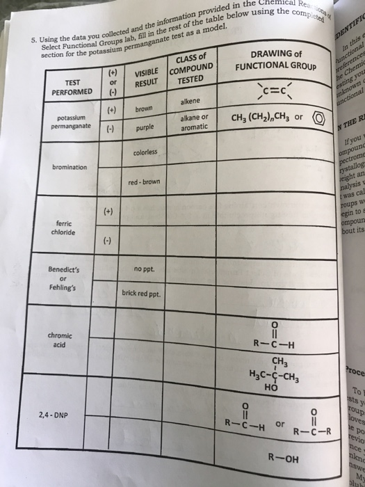 Solved cal Reaona Select Functional Groups lab, fill in the | Chegg.com