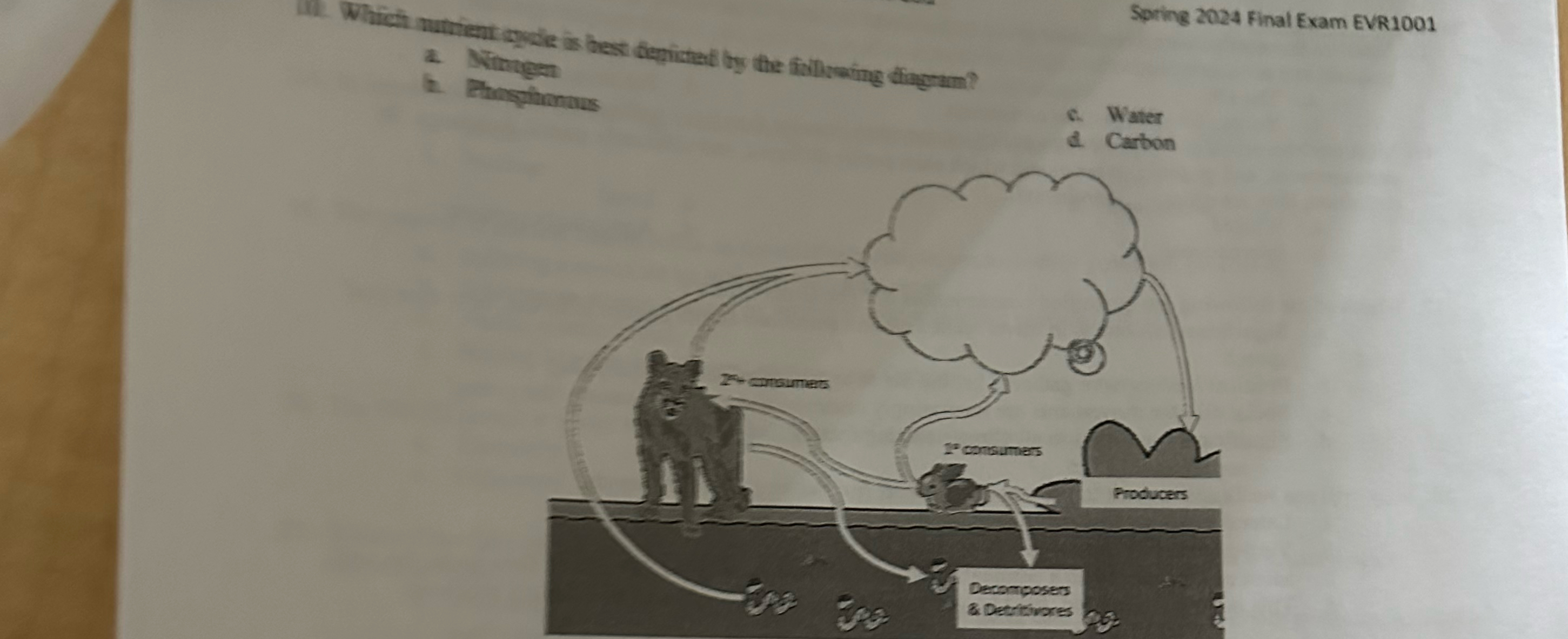 Solved Which nutrient cycle is pictured in the following | Chegg.com