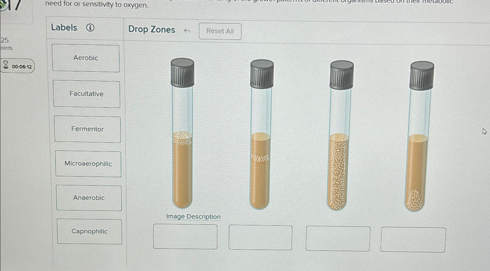 Solved need for or sensitivity to oxygen.Labels(i)Drop | Chegg.com