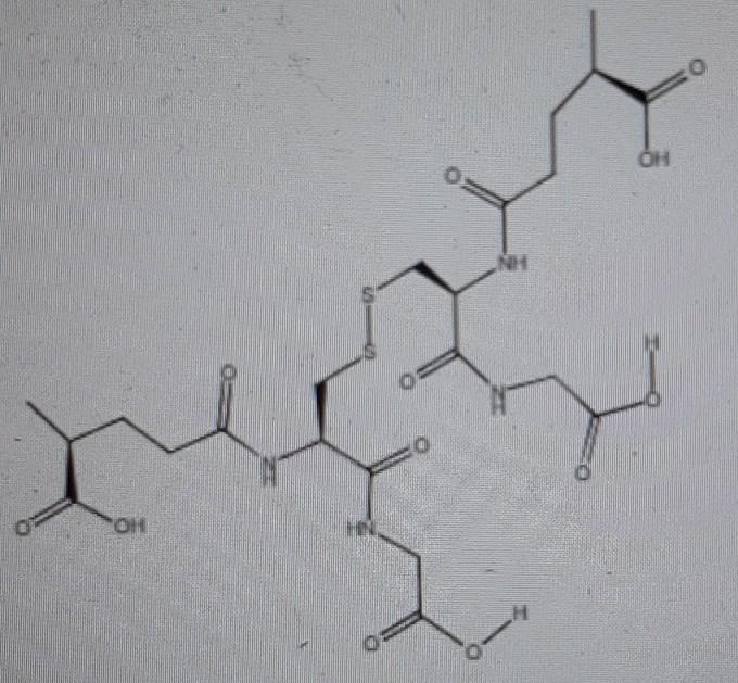 Solved Below is the structure I drew in Chegg. Idk what I | Chegg.com
