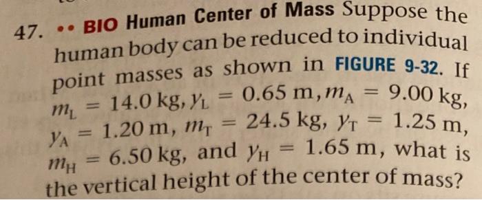 Solved 47. BIO Human Center of Mass Suppose the human body | Chegg.com