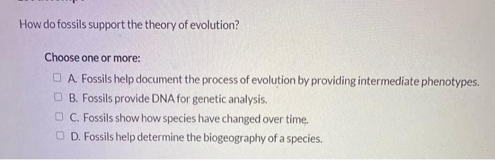how do fossils support the theory of organic evolution