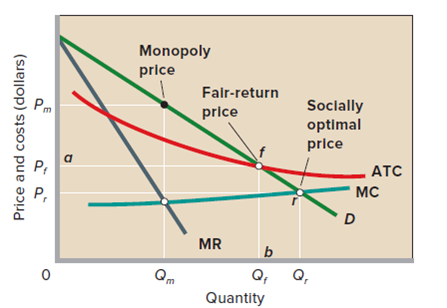 Natural monopoly regulation image