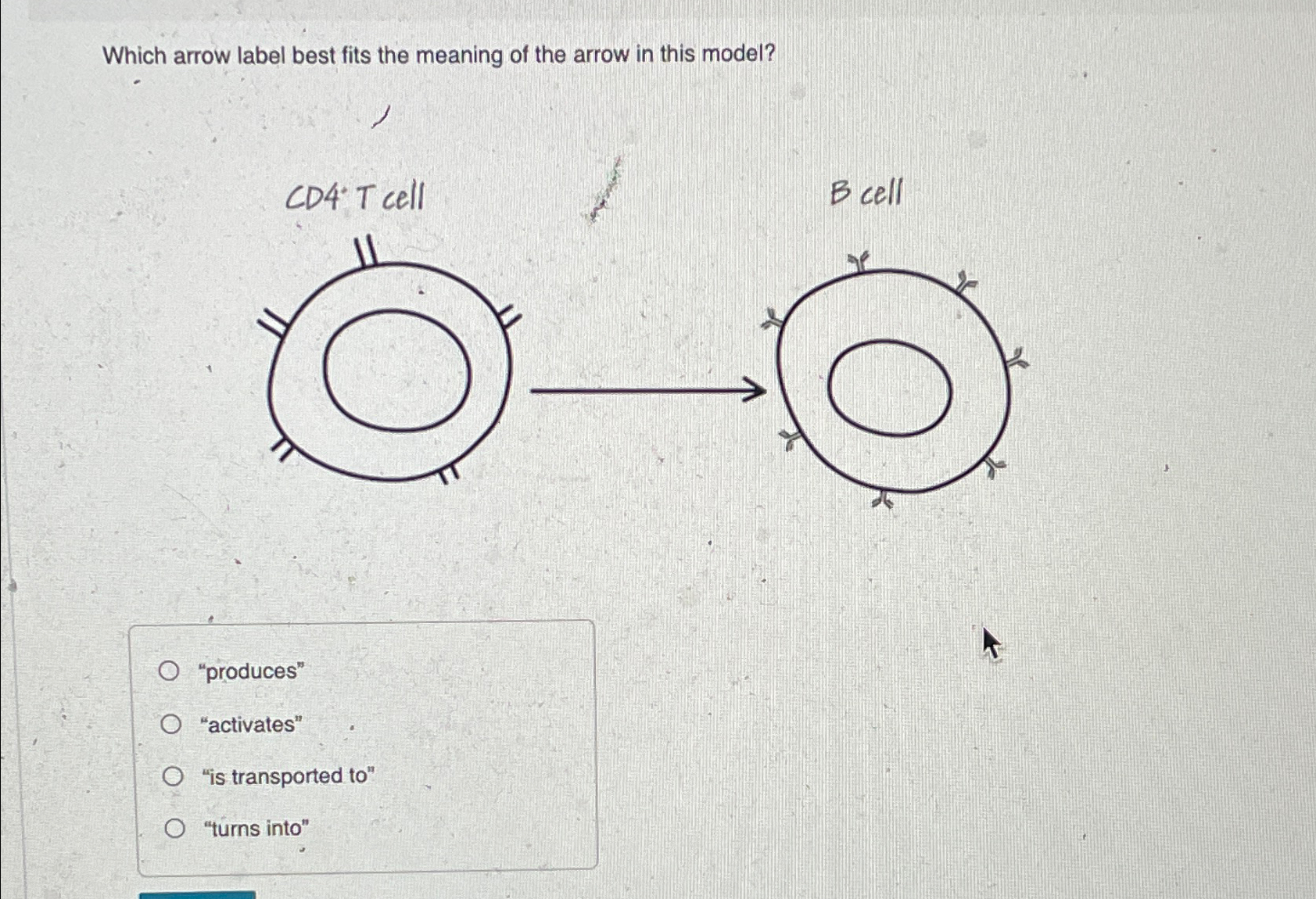 Solved Which arrow label best fits the meaning of the arrow | Chegg.com