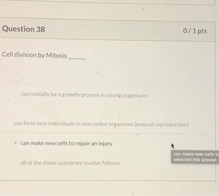 Solved Question 38 0/1 pts Cell division by Mitosis can | Chegg.com