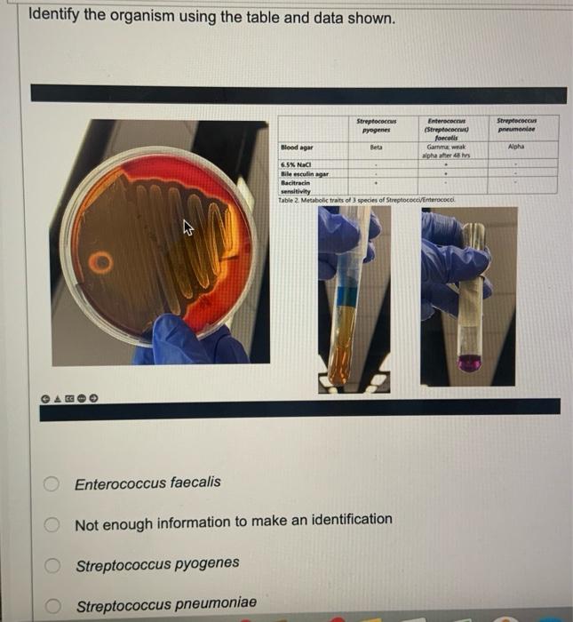 Solved Identify the organism using the table and data shown. | Chegg.com