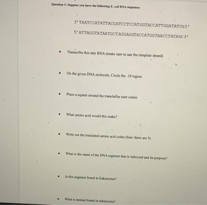Solved Question 1: Suppose you have the following E coll DNA | Chegg.com