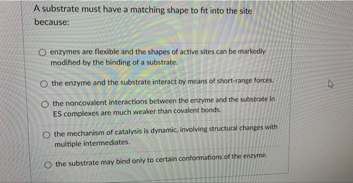 an enzyme's active site and substrate have the same shape