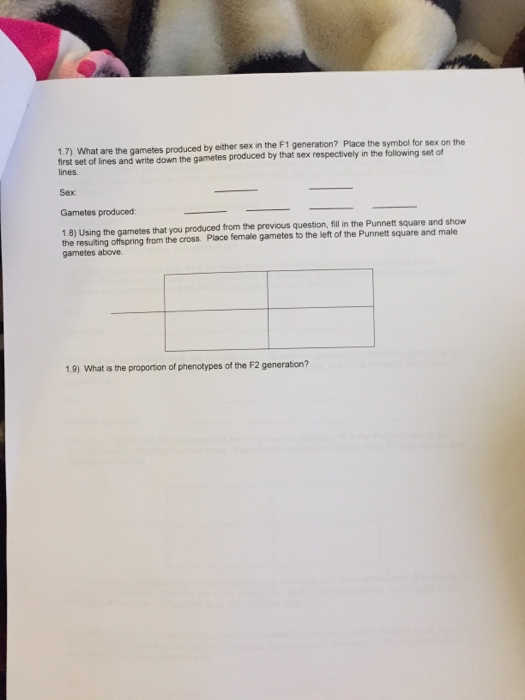 Solved Homework On Monohybrids Monohybrid Cross 1 Body Color Chegg