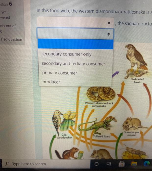 Solved In this food web, the western diamondback rattlesnake