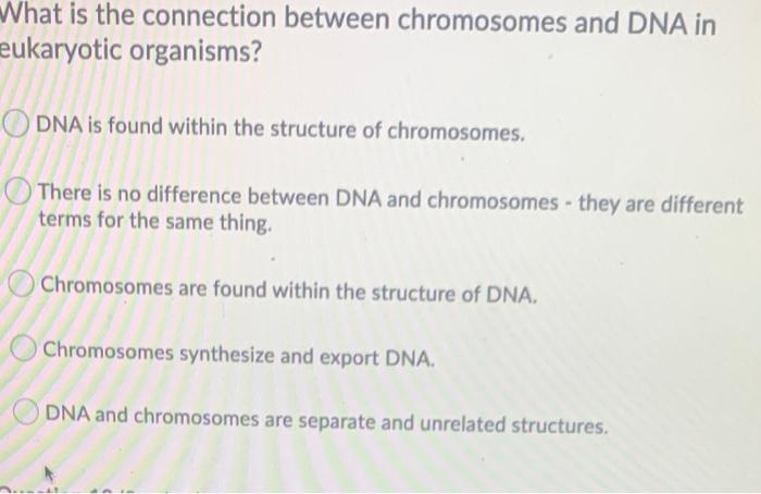 Solved What is the connection between chromosomes and DNA in | Chegg.com
