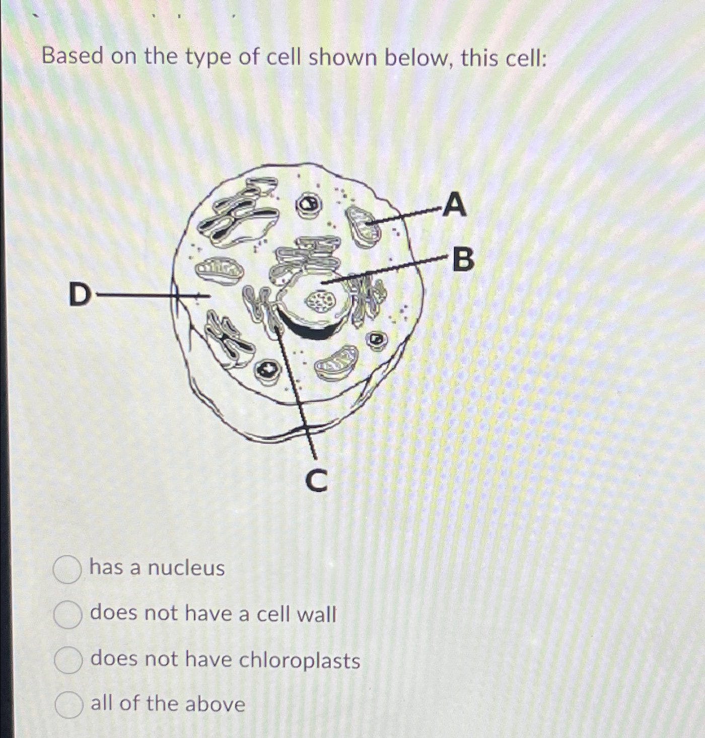 Solved Based on the type of cell shown below, this cell:has | Chegg.com