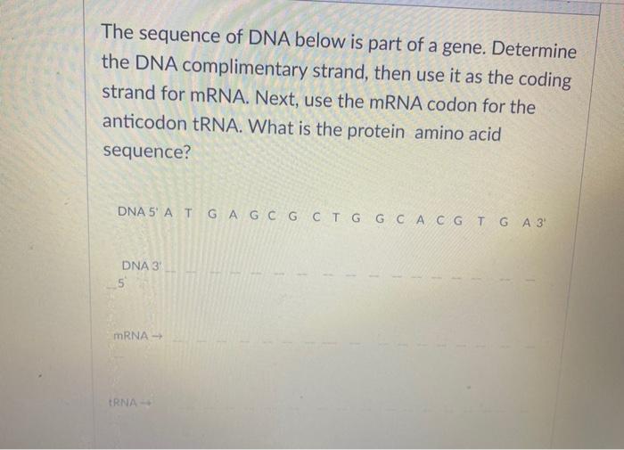 Solved The sequence of DNA below is part of a gene. | Chegg.com