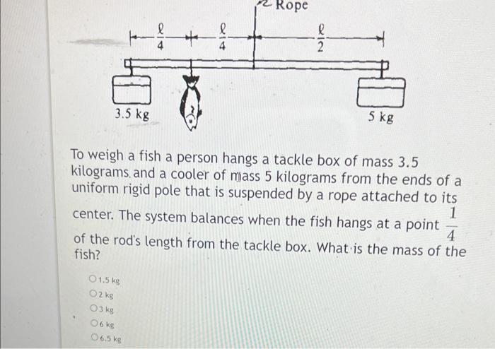 to weigh a fish a person hangs a tackle box Fishfun Rechargeable Scale, Digital Hanging Fish Weight Scale with Large Handle and Tape Measure for Fishing, Hunting, Outdoor, Farm, 110lb/50kg : Sports & Outdoors I miss the days when