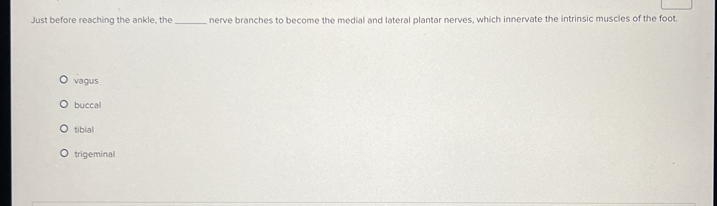 Solved Just before reaching the ankle, thenerve branches to