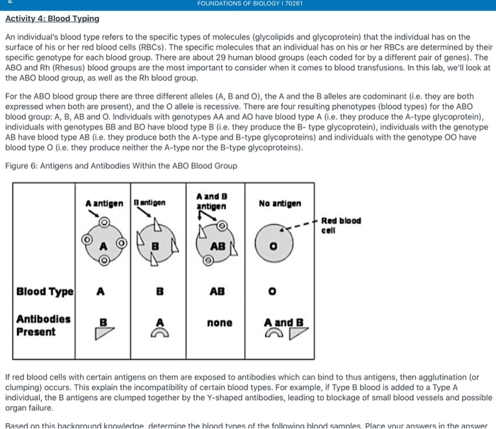 FOUNDATIONS OF BIOLOGY I 70261 Activity 4: Blood | Chegg.com