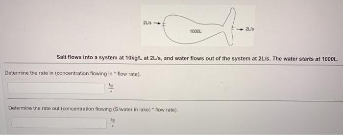 Solved 2015 - 1000L 2015 Salt flows into a system at 10kg/L | Chegg.com