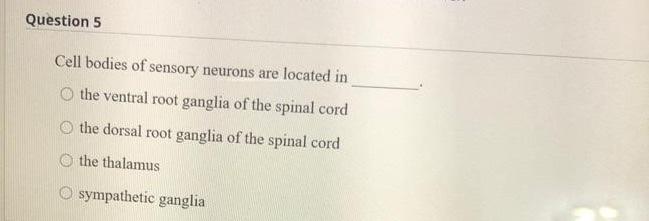 Solved Question 5 Cell bodies of sensory neurons are located | Chegg.com