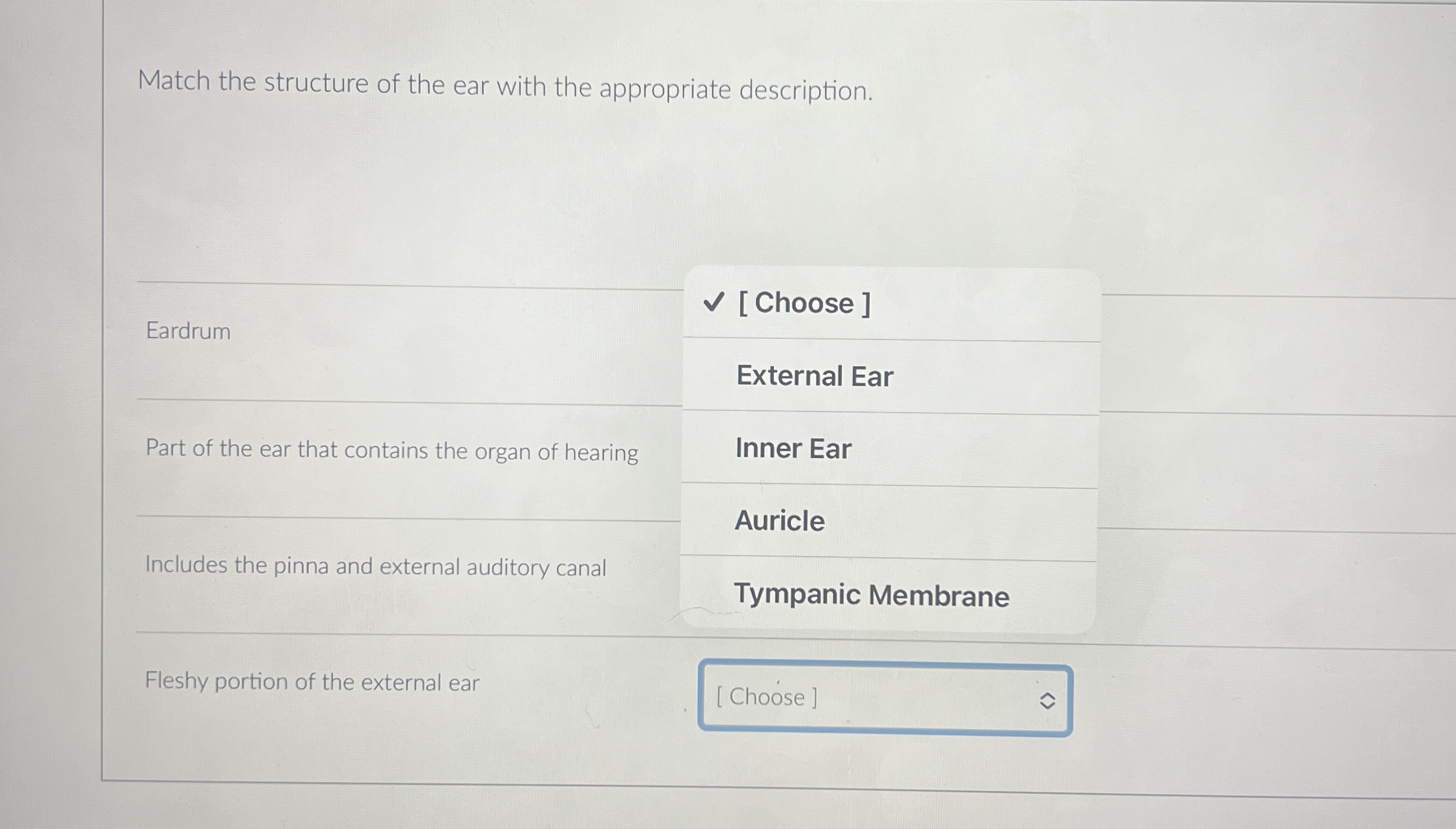 Match the structure of the ear with the appropriate | Chegg.com