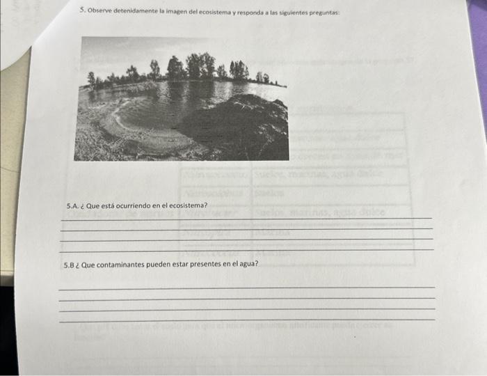 5. Observe detenidamente la imagen del ecosistema y responda a las siguientes preguntas: 5.A. ¿ Que está ocurriendo en el eco