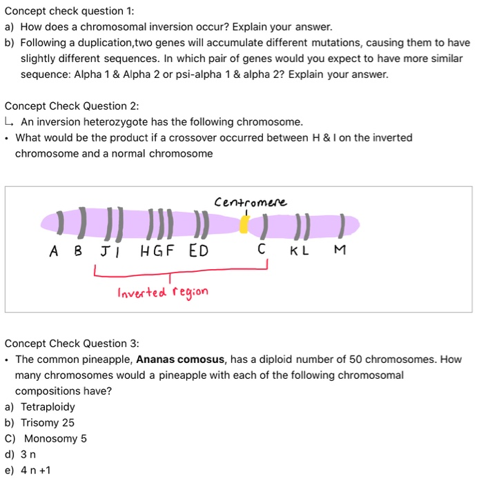 chromosome inversion