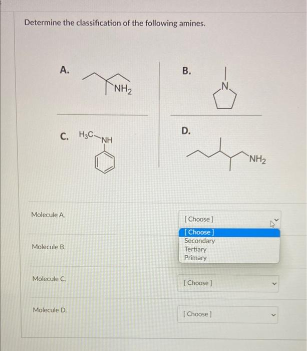 experiment 11 classification test for amines