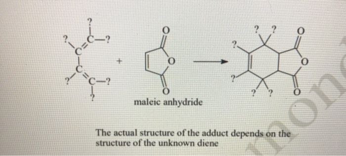 Solved maleic anhydride The actual structure of the adduct | Chegg.com