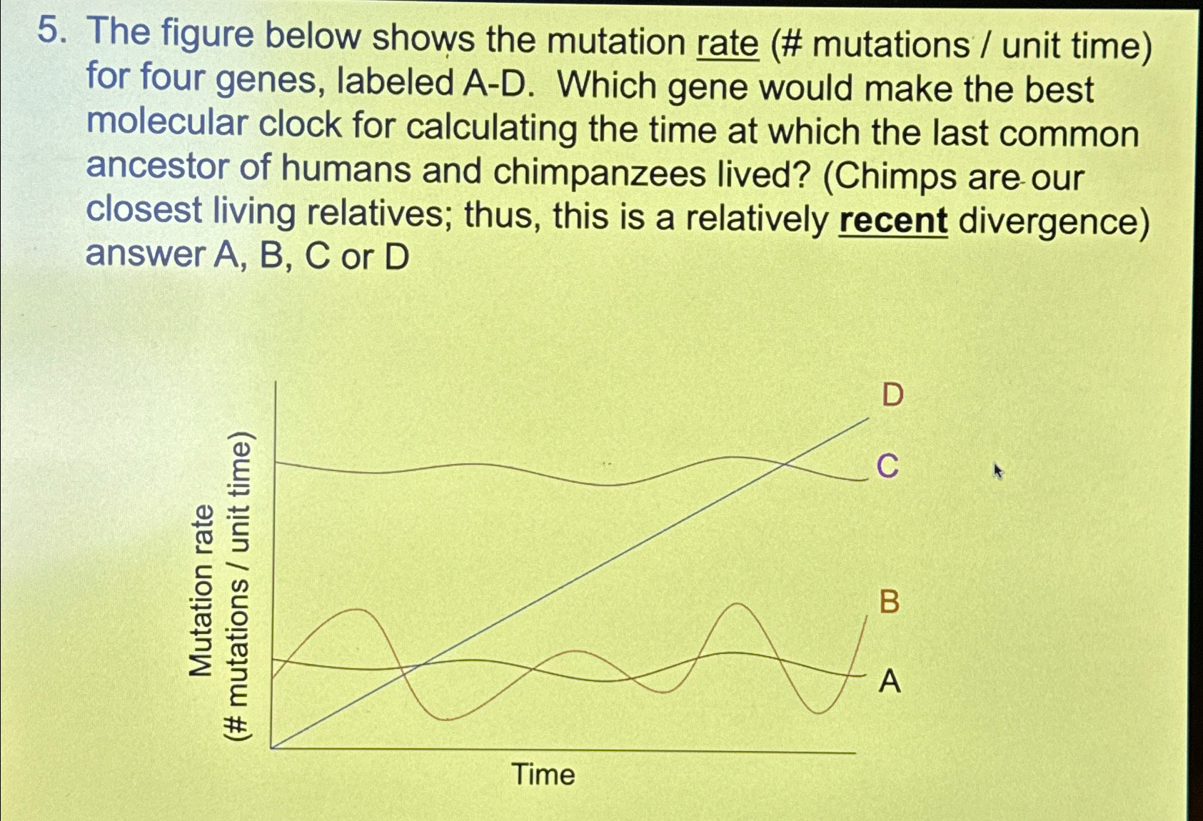 Solved The figure below shows the mutation rate (# mutations | Chegg.com