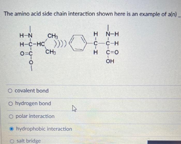 Solved The Amino Acid Side Chain Interaction Shown Here Is | Chegg.com