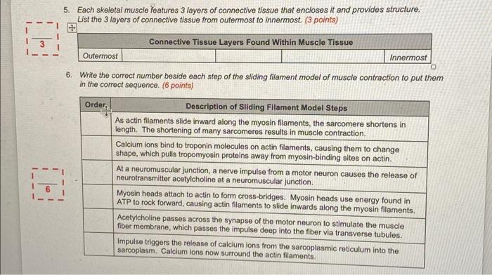 Solved 5. Each skeletal muscle features 3 layers of | Chegg.com