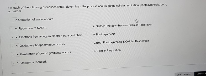 Solved For each of the following processes listed, determine | Chegg.com