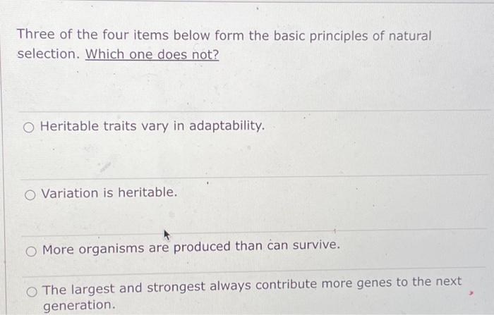 Solved Three of the four items below form the basic | Chegg.com