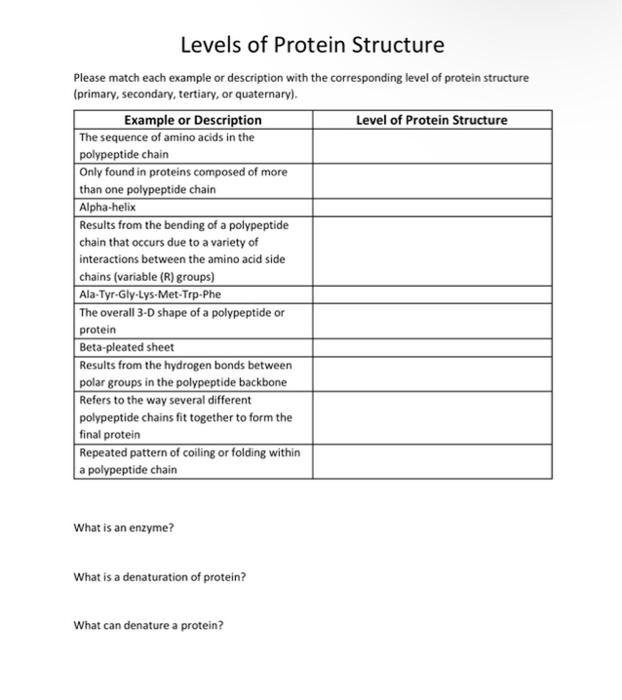 Solved Levels of Protein Structure Please match each example | Chegg.com