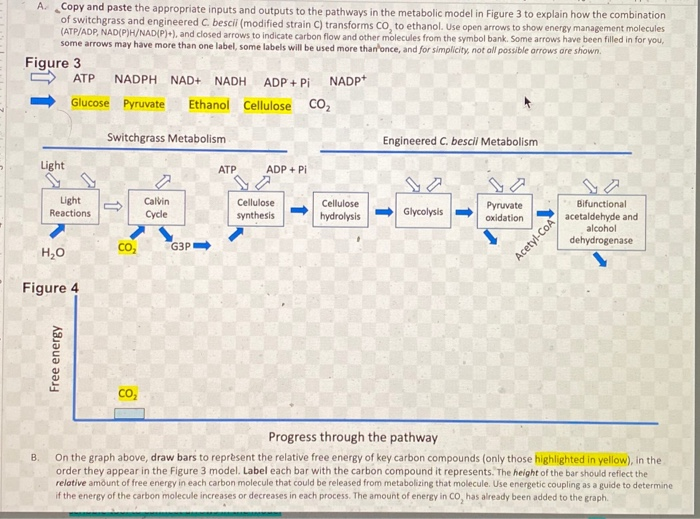 Solved A Copy and paste the appropriate inputs and outputs | Chegg.com