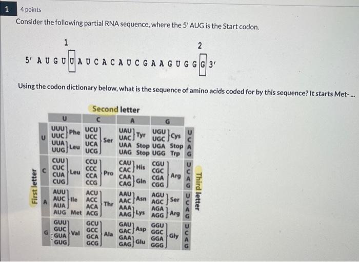 Solved The partial mRNA sequence shown in Question 1 begins | Chegg.com