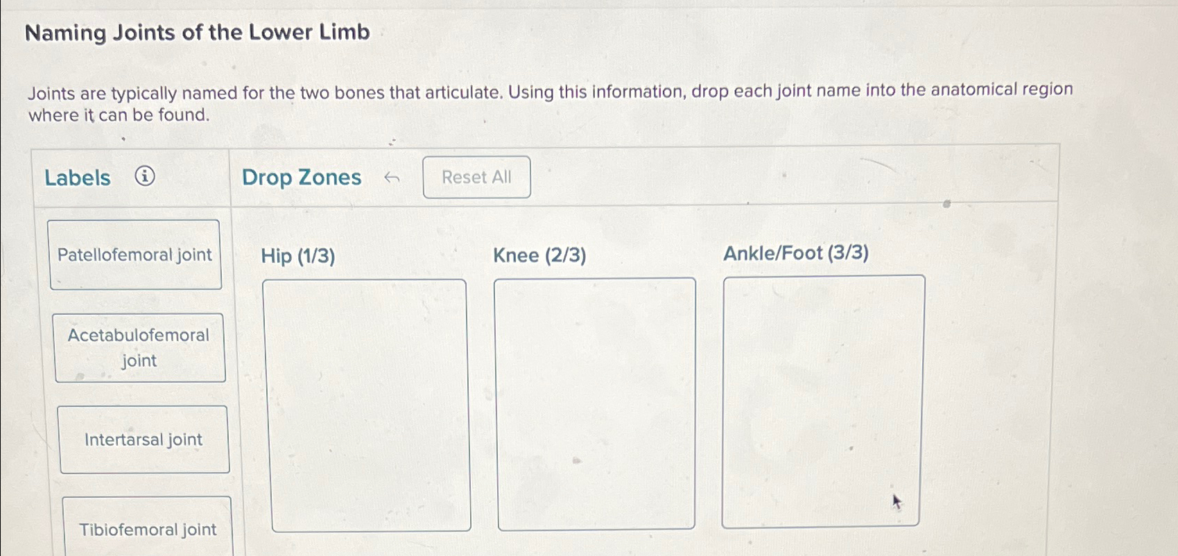 Solved Naming Joints of the Lower LimbJoints are typically