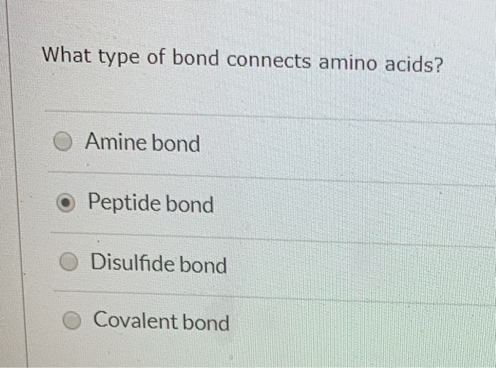 Solved What type of bond connects amino acids? Amine bond •