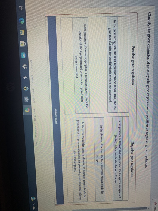 Solved Atta Classify the given examples of prokaryotic gene | Chegg.com