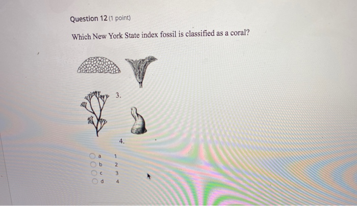 Solved Question 12 (1 point) Which New York State index 