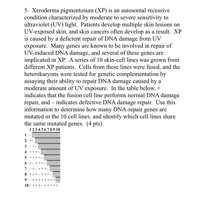 Solved 5. Xeroderma pigmentosum (XP) is an autosomal | Chegg.com