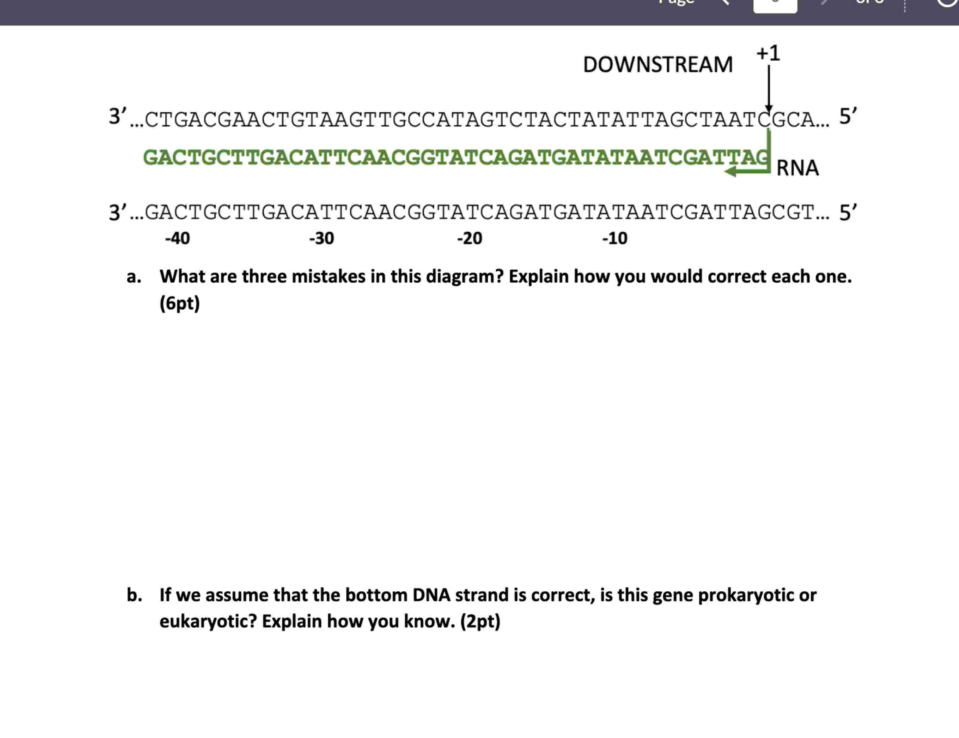 Solved Given the diagram of transcription below...a. ﻿What | Chegg.com