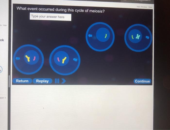 What Event Occurred During This Cycle Of Meiosis