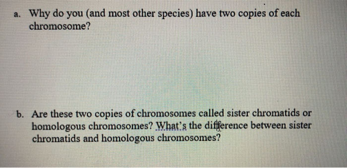 Solved A. Why Do You (and Most Other Species) Have Two | Chegg.com