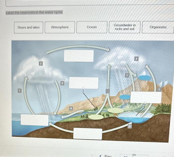 the water cycle homework answers