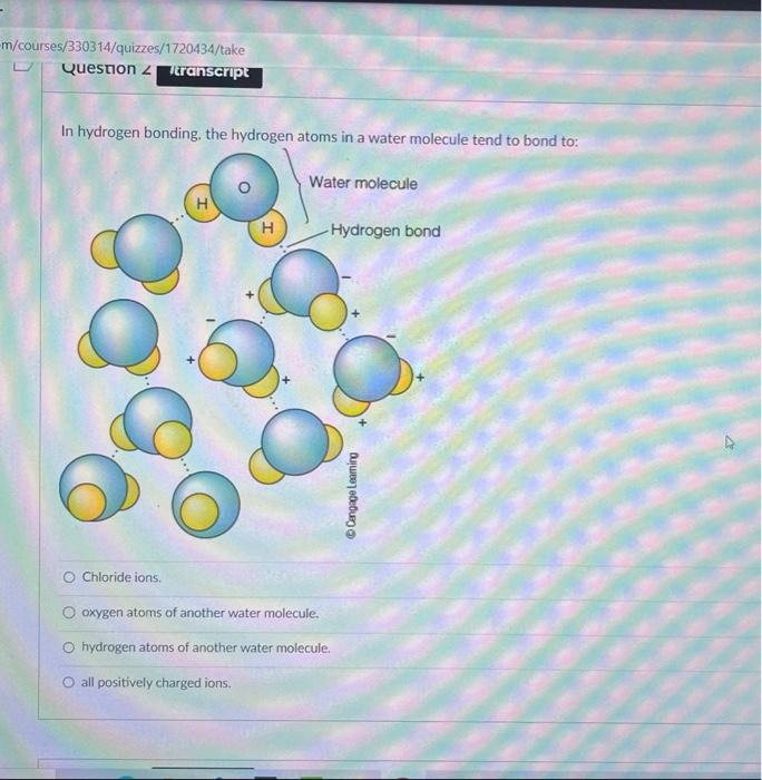 Solved In hydrogen bonding, the hydrogen atoms in a water