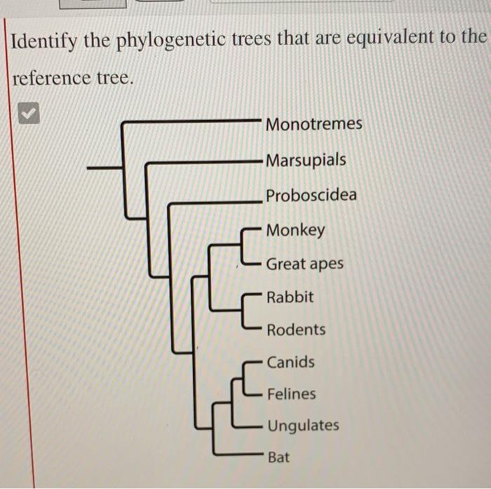 Solved The tree shows a simplified hypothesis